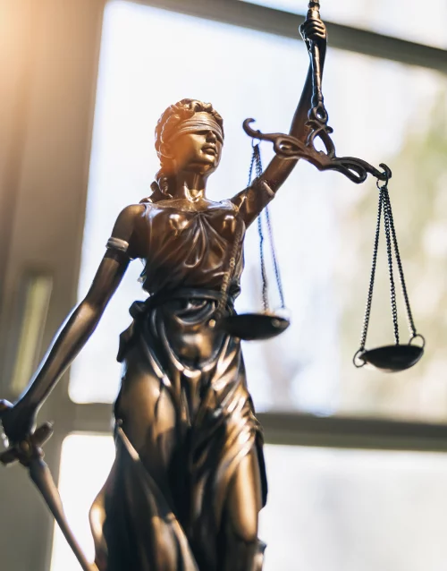 Let's Talk Speak With Expert