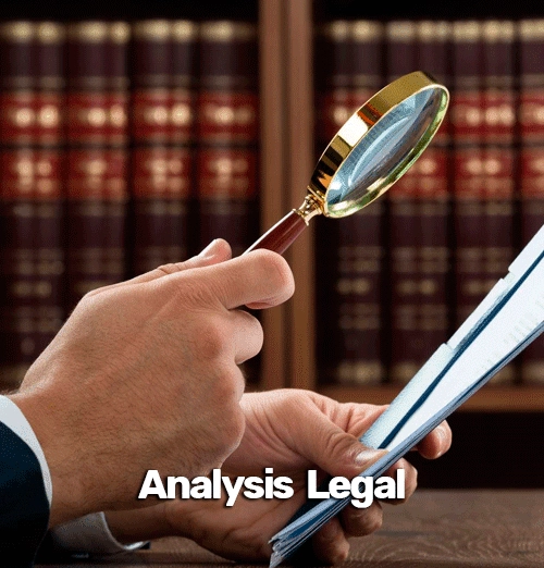 Legal Analysis & Issue Identification